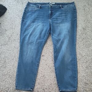 Refuge Women's Classic Blue Skinny Jeans